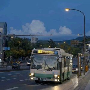 成人av无码在线
