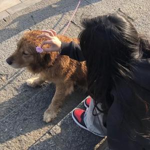 成人av无码在线
