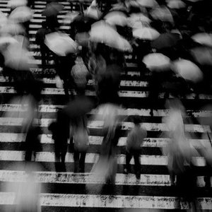 成人av无码在线
