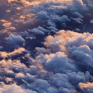 成人av无码在线
