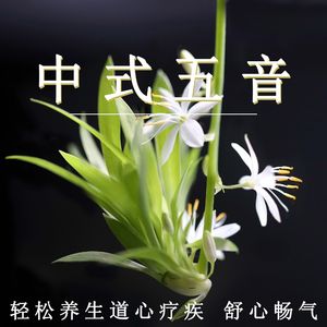 成人av无码在线
