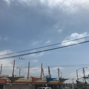 成人av无码在线
